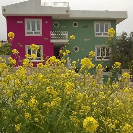 Vendégház Ev Pasalimani Emin Sitesi
